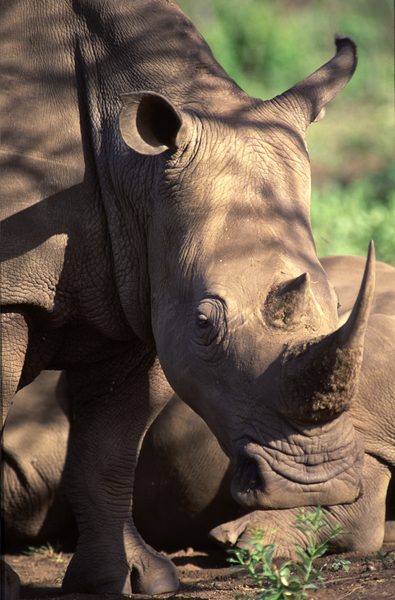 Field staff commended