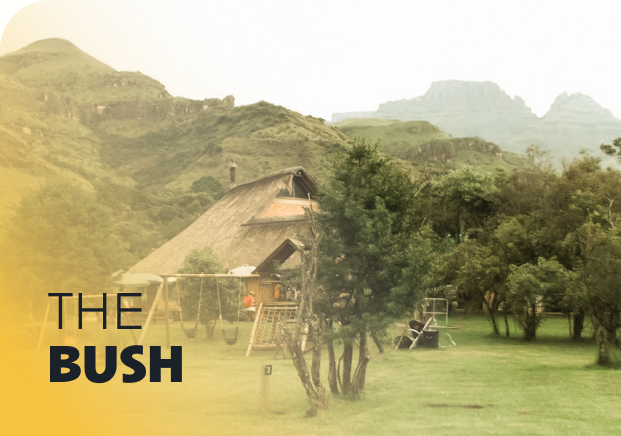 Bush accommodation